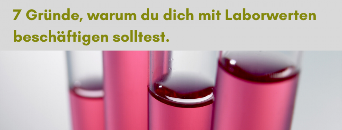 Anne Sasson Tierheilpraktikerin Blog 7 Gründe, warum du dich mit