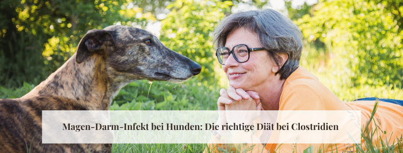 Leishmaniose beim Hund: Diagnose, Behandlung und Fütterung