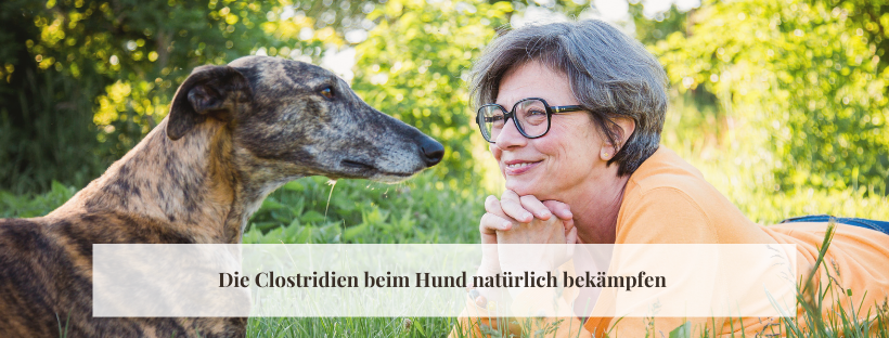 Die Clostridien beim Hund natürlich bekämpfen 