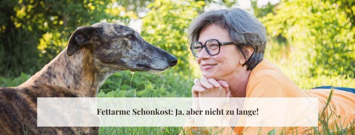 Die Omega-3-Famile: Warum diese Fettsäuren so wichtig für deinen Hund sind