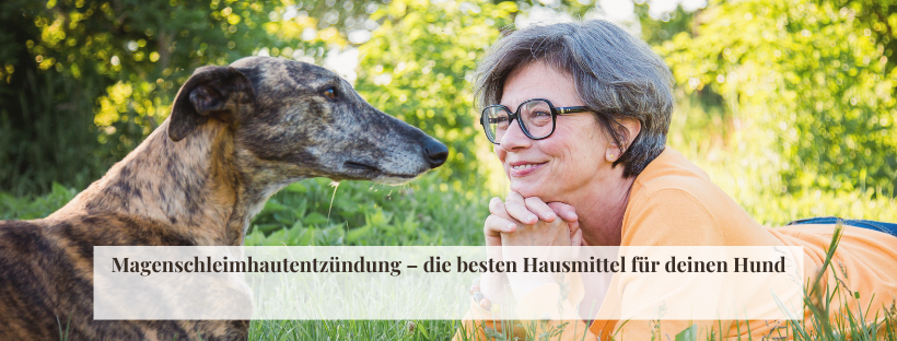 Leishmaniose beim Hund: Diagnose, Behandlung und Fütterung