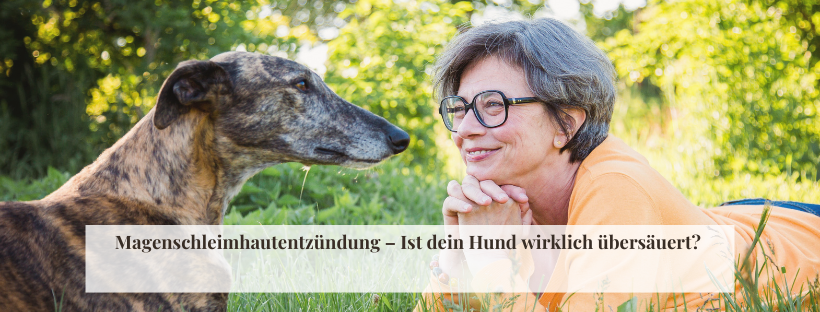 Leishmaniose beim Hund: Diagnose, Behandlung und Fütterung