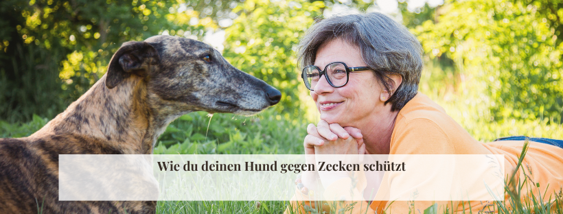 Allergien beim Hund: Wann hilft Futterwechsel gegen Juckreiz?