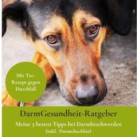 DarmGesundheit Ratgeber Hund