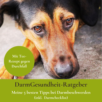 Das 12-Wochen-Programm für dich und deinen Hund